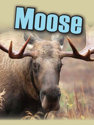 cover image of Moose